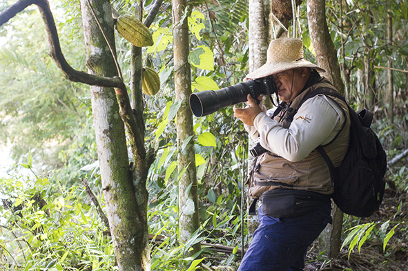 Birdwatching en el bosque de Arbio