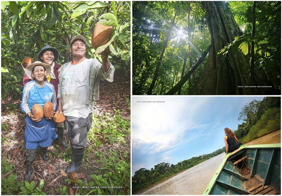 Collage Madre de Dios