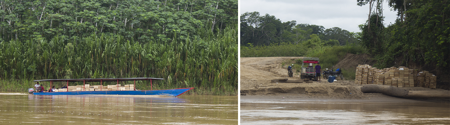 Río Las Piedras, Tambopata. Transporte de jabas con papaya en el río.