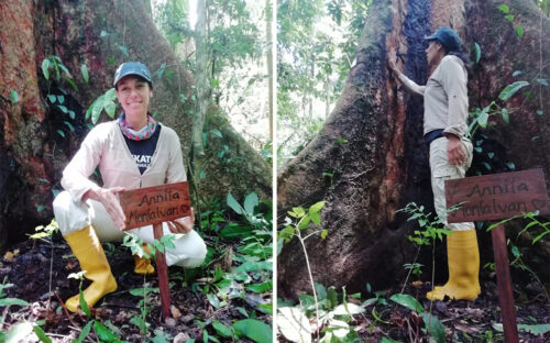Anita Montalvan dedicada a la protección y a la investigación del bosque amazónico en Arbio Perú