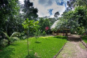 Estación biológica para la investigación forestal y de la fauna silvestre