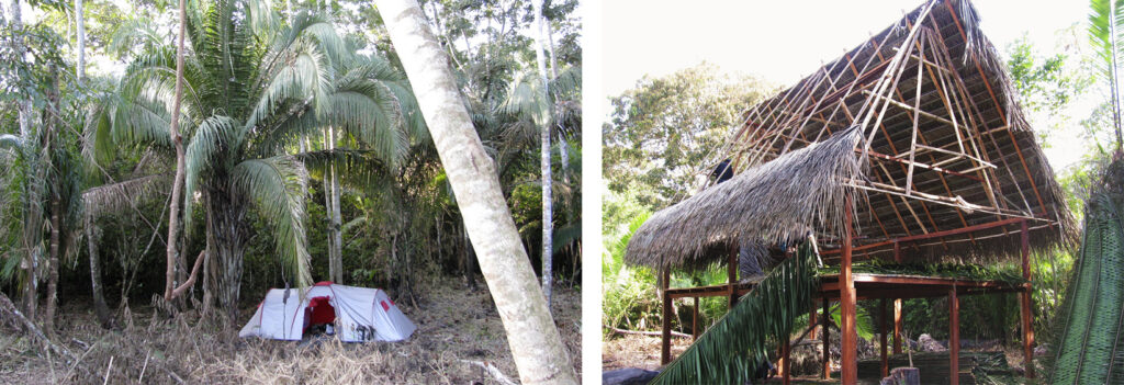 Carpa y cabaña de guarda bosque, protege el bosque con Arbio  Perú