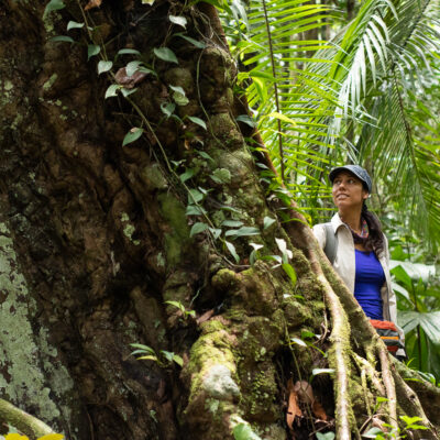 Mujer mirando un árbol en el bosque, protege el bosque con Arbio Perú