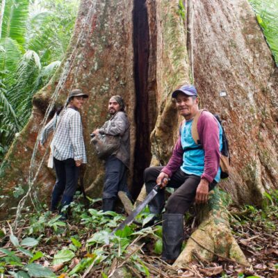 Tatiana Espinoza y equipo cuidando de un árbol