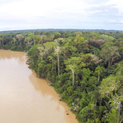 Río en medio del bosque Amazónico, protege el bosque con Arbio Perú