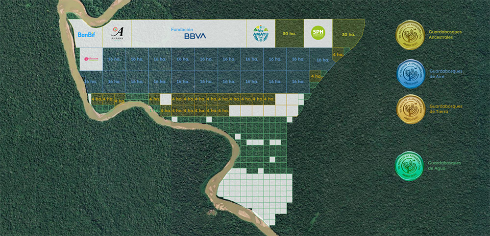 Empresas conservan el bosque 