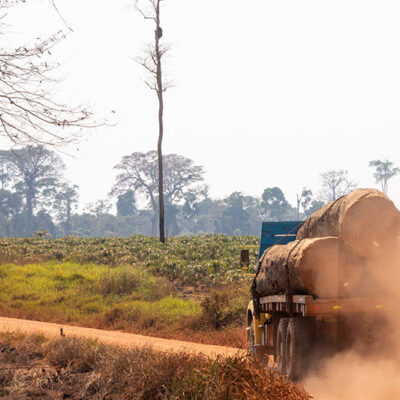 Camion con troncos de madera, deforestaci[on