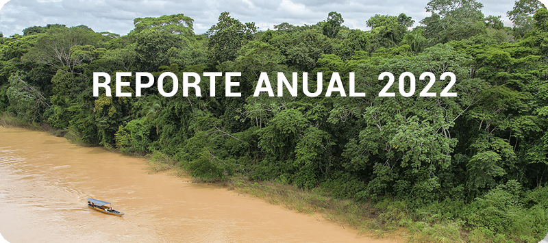 Reporte Anual