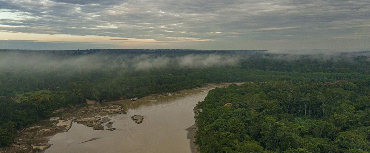 Preservem a Amazônia! 