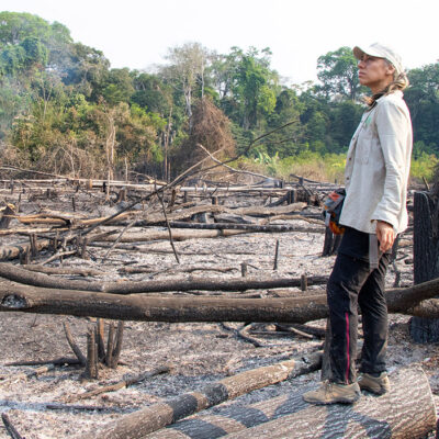 Deforestación. Incendio forestal