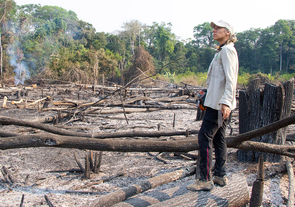 Classifying the risk of forest loss in the Peruvian