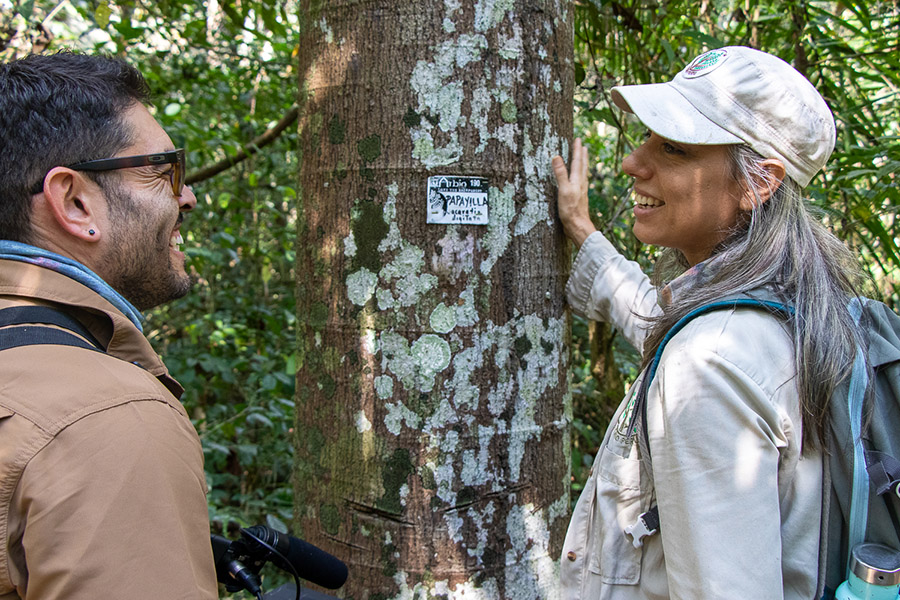 ARBIO, bosque de gigantes (1)