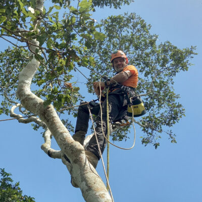 Andrea Maroe en las ramas de un Shihuahuaco