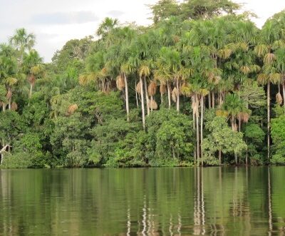 Día Mundial de los Humedales