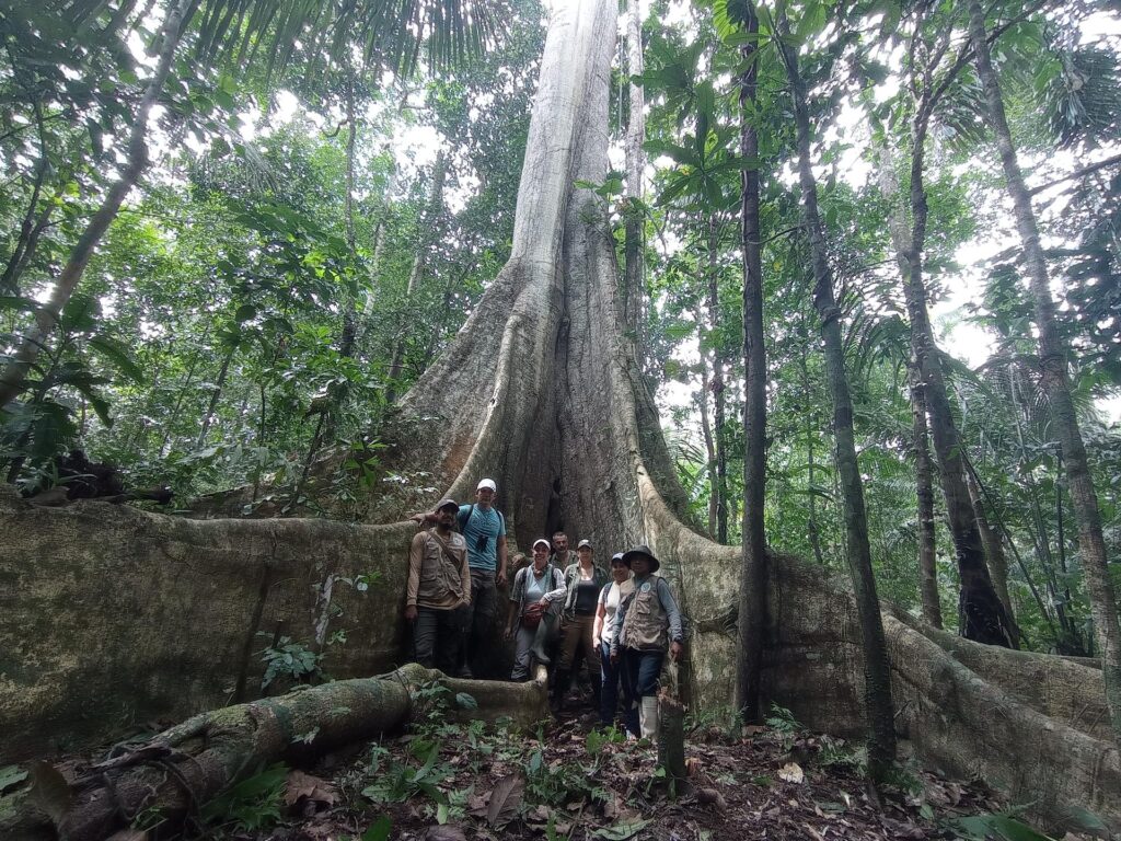 Equipo de ARBIO Y Giant Trees Foundation