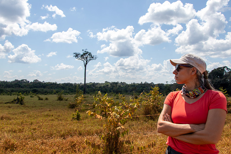 Hablemos de Forestería Análoga en el Día de los Bosques