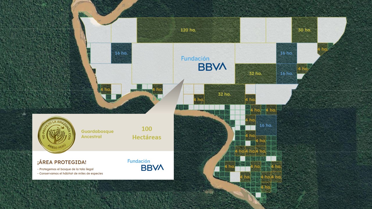 Mapa ARBIO