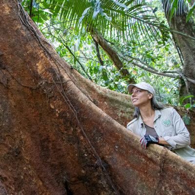 Tatiana Espinosa con un gran árbol de shihuahuaco en el bosque de Arbio
