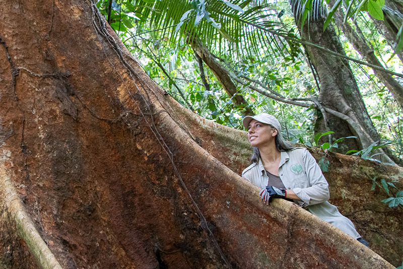 Tatiana Espinosa con un gran árbol de shihuahuaco en el bosque de Arbio