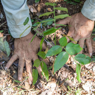 Día Mundial del Suelo