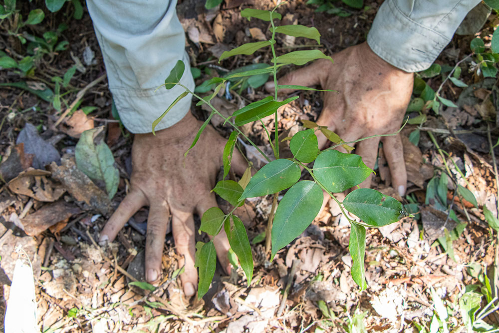 Día Mundial del Suelo